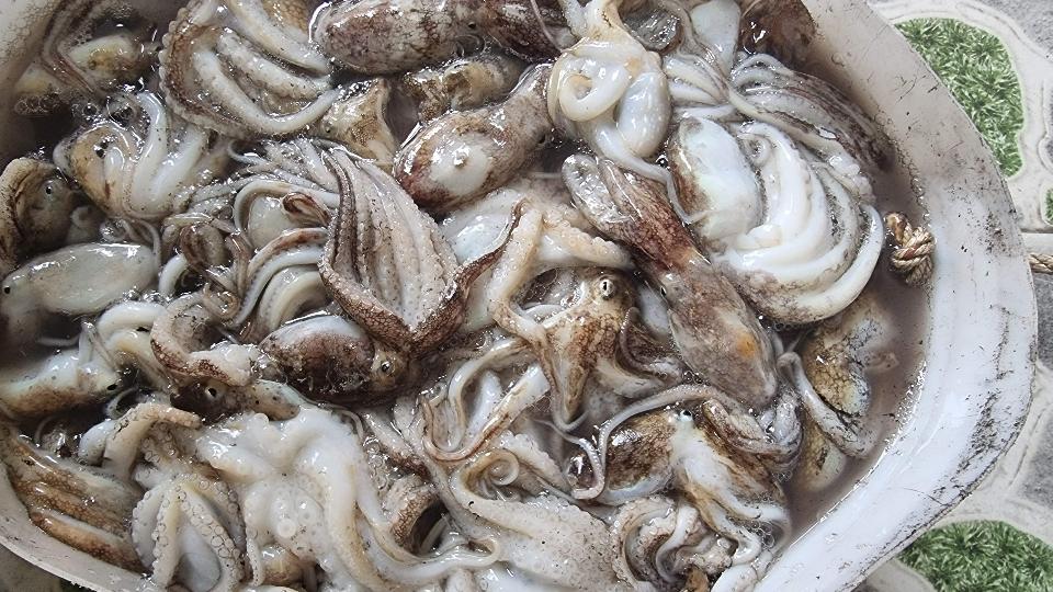 BẠCH TUỘT TƯƠI-duoc-ban-tai-Hải Sản Xuân Tiếng