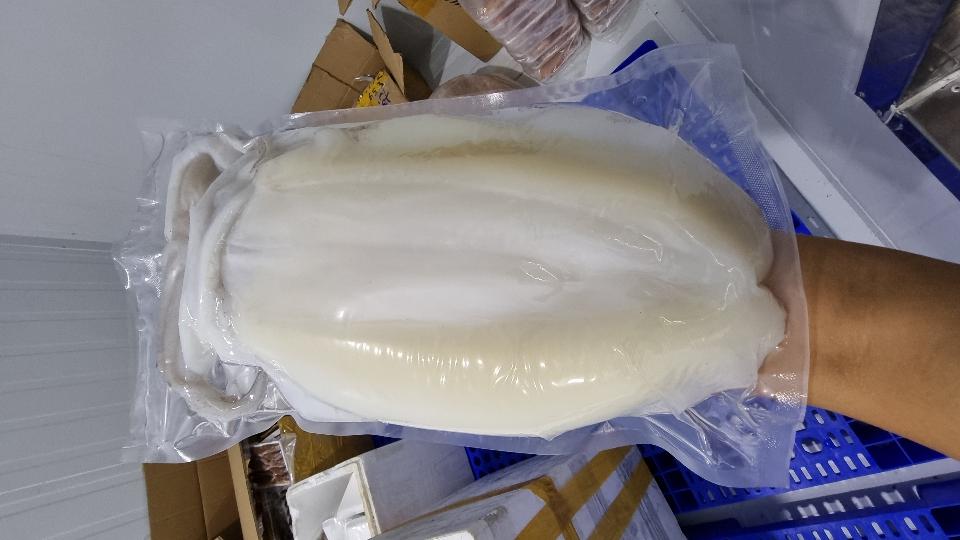 MỰC LÁ 1 NẮNG-duoc-ban-tai-Hải Sản Xuân Tiếng