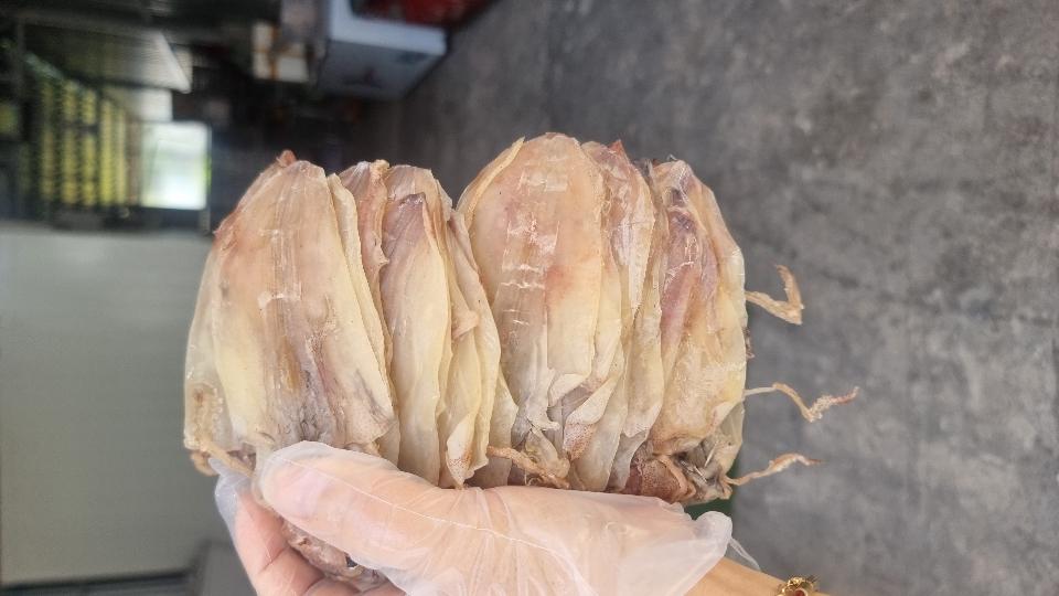 KHÔ MỰC CÂU-duoc-ban-tai-Hải Sản Xuân Tiếng