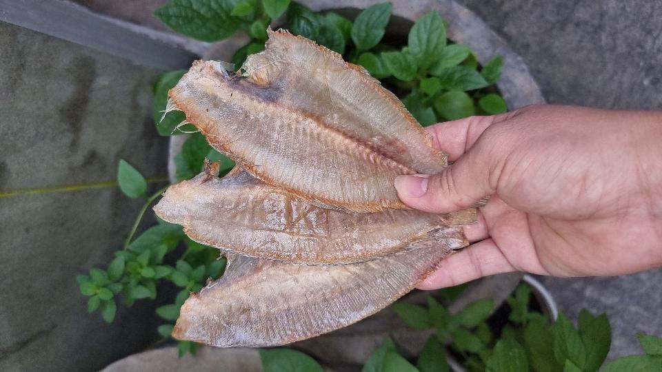 Khô cá dãnh lớn-duoc-ban-tai-Hải Sản Xuân Tiếng