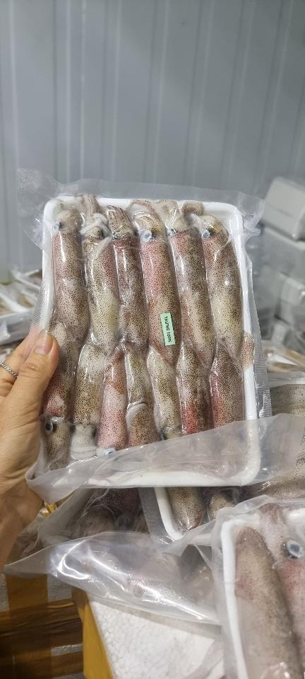 MỰC ỐNG TRỨNG-duoc-ban-tai-Hải Sản Xuân Tiếng
