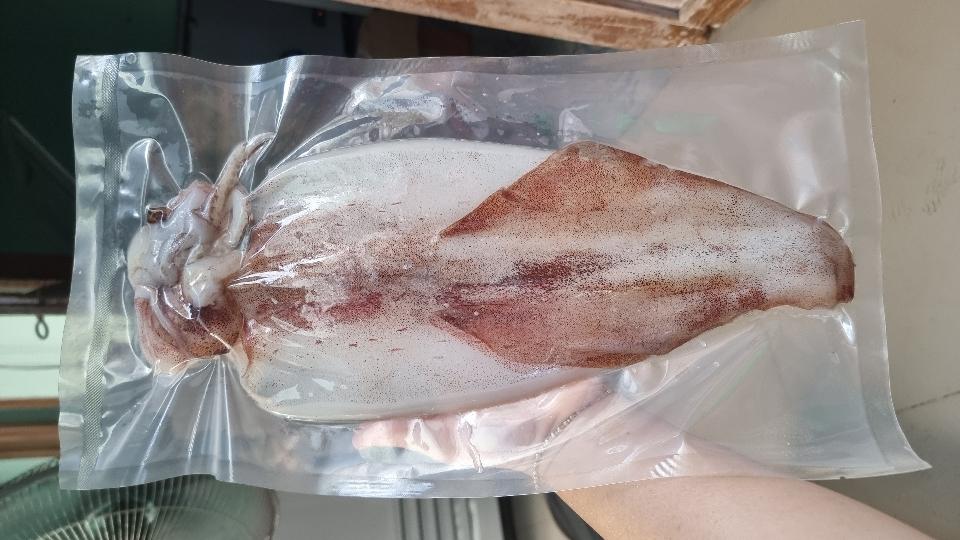 MỰC DẺO-duoc-ban-tai-Hải Sản Xuân Tiếng
