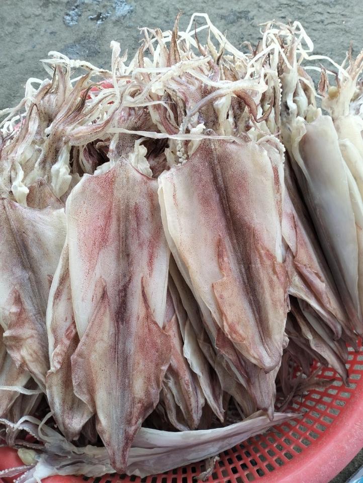 MỰC DẺO-duoc-ban-tai-Hải Sản Xuân Tiếng