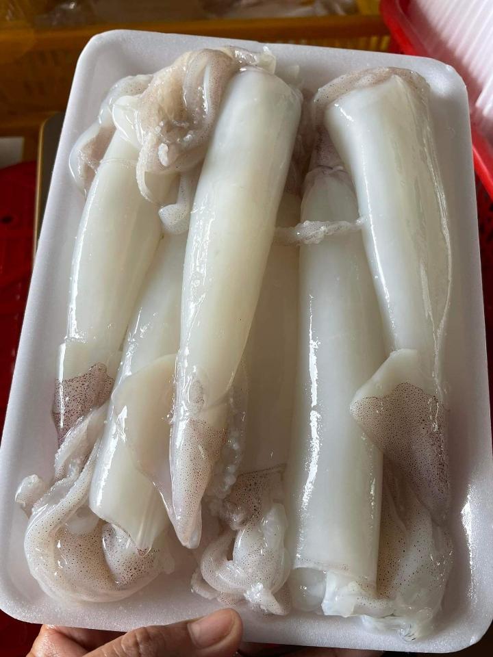 MỰC LÀM SẠCH-duoc-ban-tai-Hải Sản Xuân Tiếng
