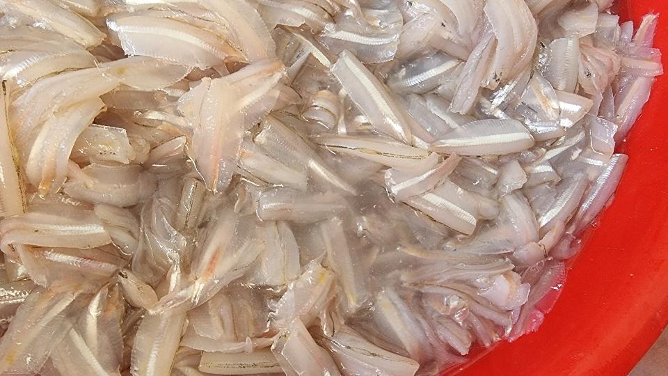 Cá mai file-duoc-ban-tai-Hải Sản Xuân Tiếng