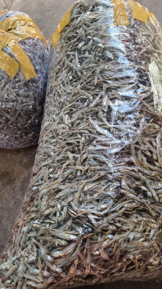 Khô cá cơm than-duoc-ban-tai-Hải Sản Xuân Tiếng