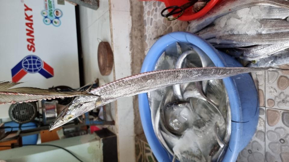 CÁ HỐ TƯƠI-duoc-ban-tai-Hải Sản Xuân Tiếng