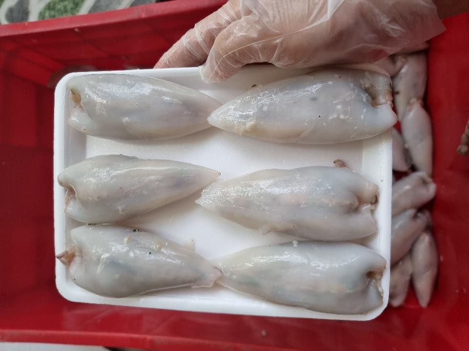 MỰC NHỒI THỊT-duoc-ban-tai-Hải Sản Xuân Tiếng