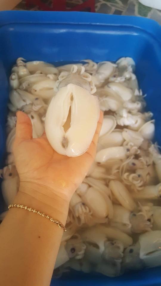 MỰC NANG LÀM SẠCH-duoc-ban-tai-Hải Sản Xuân Tiếng
