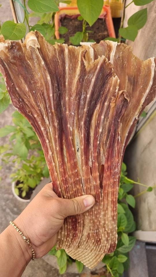Khô cá đuối-duoc-ban-tai-Hải Sản Xuân Tiếng