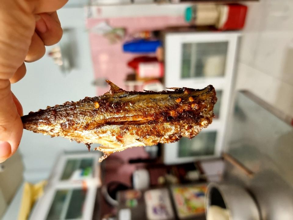CÁ ẢO MUỐI XƯ-duoc-ban-tai-Hải Sản Xuân Tiếng