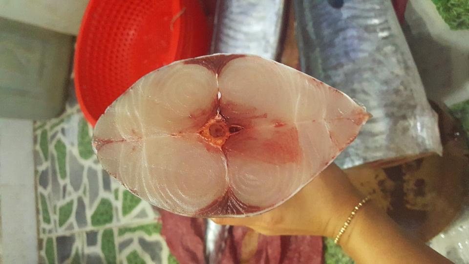 Cá thu nguyên con-duoc-ban-tai-Hải Sản Xuân Tiếng