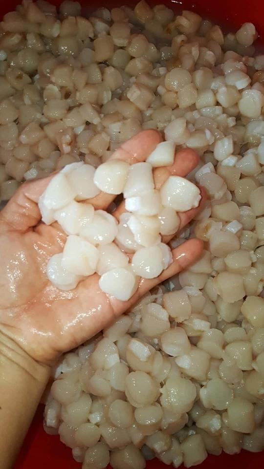 Cồi sò điệp trứng-duoc-ban-tai-Hải Sản Xuân Tiếng