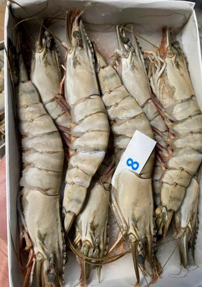 Tôm Sú Hộp size 8-duoc-ban-tai-CTy TNHH SX&XNK THỰC PHẨM XANH - HẢI PHÒNG
