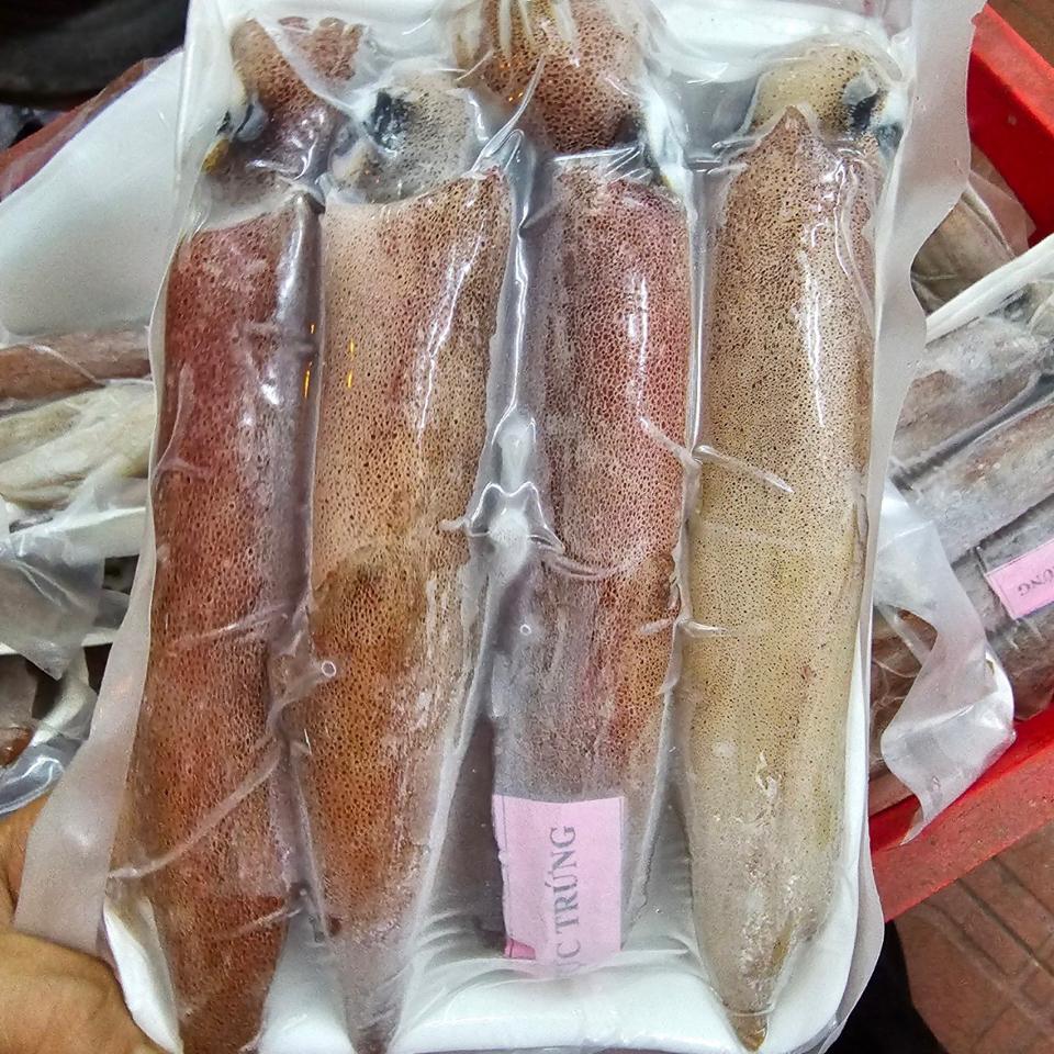 Mực Trứng Nháy size 8/10-duoc-ban-tai-CTy TNHH SX&XNK THỰC PHẨM XANH - HẢI PHÒNG