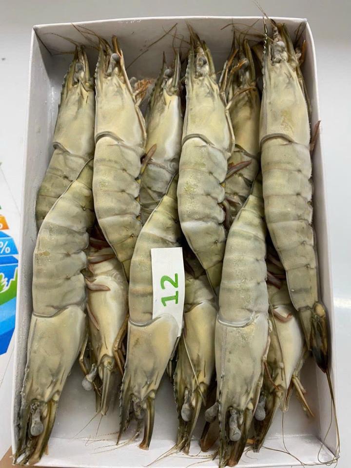 Tôm Sú Hộp size 12-duoc-ban-tai-CTy TNHH SX&XNK THỰC PHẨM XANH - HẢI PHÒNG