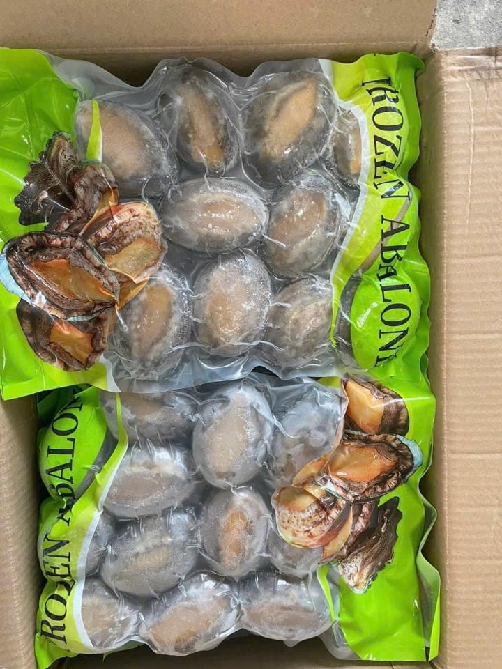 Bào Ngư 16-duoc-ban-tai-CTy TNHH SX&XNK THỰC PHẨM XANH - HẢI PHÒNG