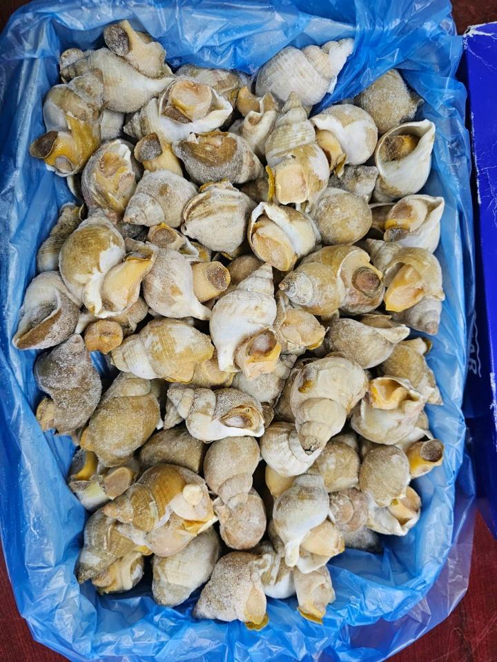Bullot sofima 20/30-duoc-ban-tai-CTy TNHH SX&XNK THỰC PHẨM XANH - HẢI PHÒNG
