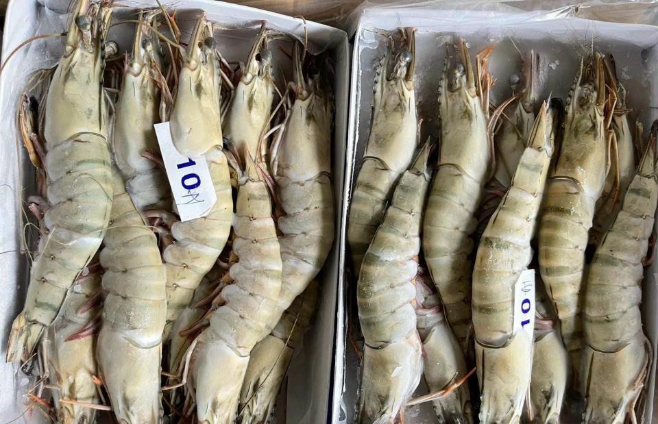 Tôm Sú Hộp size 10-duoc-ban-tai-CTy TNHH SX&XNK THỰC PHẨM XANH - HẢI PHÒNG