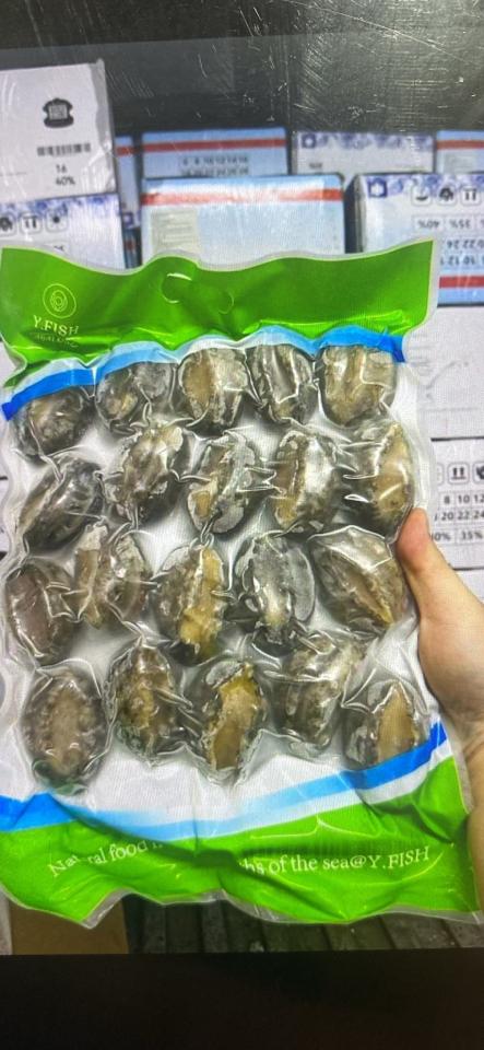 Bào Ngư 14 hinsu-duoc-ban-tai-CTy TNHH SX&XNK THỰC PHẨM XANH - HẢI PHÒNG