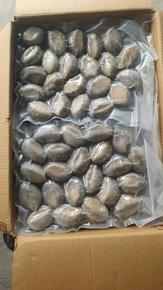 Bào Ngư  20 -duoc-ban-tai-CTy TNHH SX&XNK THỰC PHẨM XANH - HẢI PHÒNG