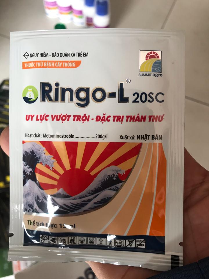 Thuốc trừ bệnh ringo- l  20sc  15ml-duoc-ban-tai-CỬA HÀNG VTNN HOÀNG METRO