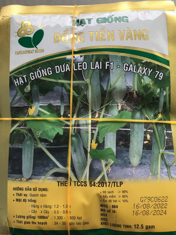 Dưa leo Đtv Galaxy 79-duoc-ban-tai-CỬA HÀNG VTNN HOÀNG METRO