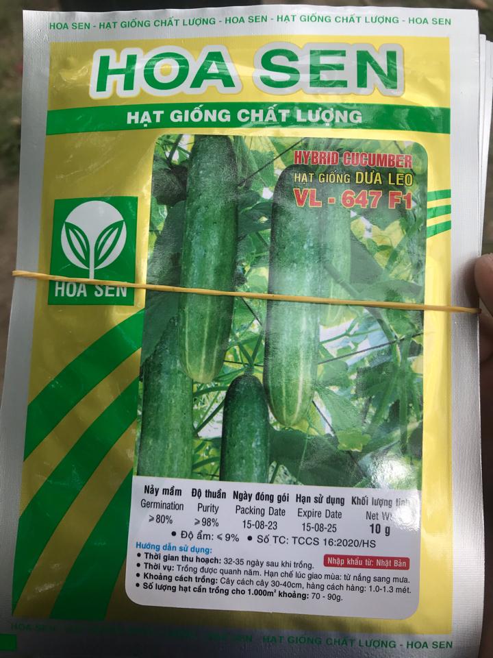 Dưa leo hoa sen 647 -duoc-ban-tai-CỬA HÀNG VTNN HOÀNG METRO