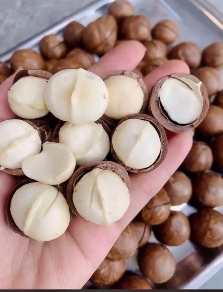 Set Tết mix hạt/ hoa quả-duoc-ban-tai-Trangsu Foods
