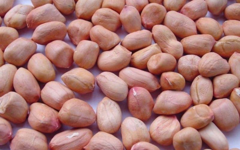 Đậu phộng CỘI-duoc-ban-tai-Hiệu buôn: ĐANG TẠP HOÁ