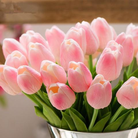 hoa tulip-duoc-ban-tai-Pity shop 2