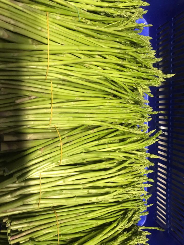 Măng Tây Ninh Thuận 1kg-duoc-ban-tai-Shop Trần Hồng