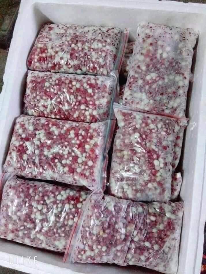 Bắp bung điện biên -duoc-ban-tai-Shop Trần Hồng