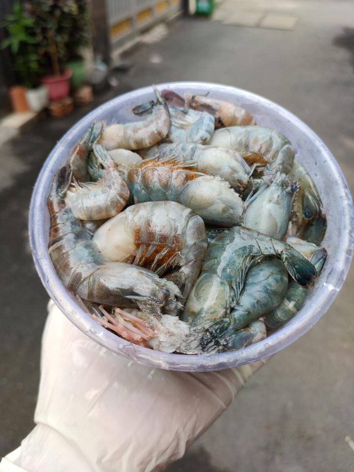 Tôm bầu 1 kg -duoc-ban-tai-Shop Trần Hồng