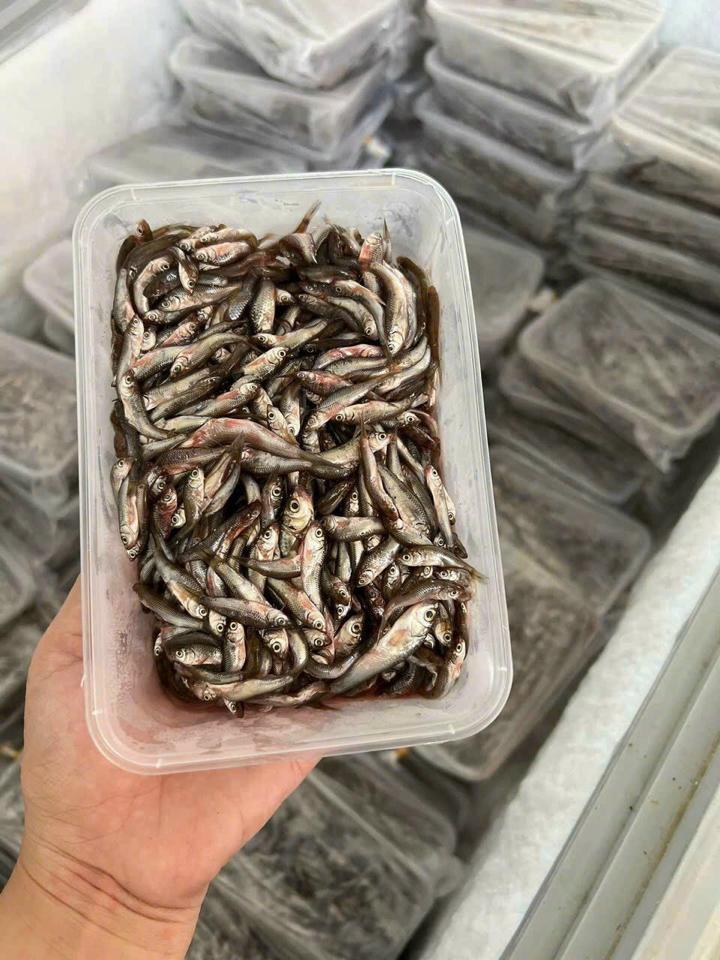 Cá linh miền Tây 1 kg-duoc-ban-tai-Shop Trần Hồng