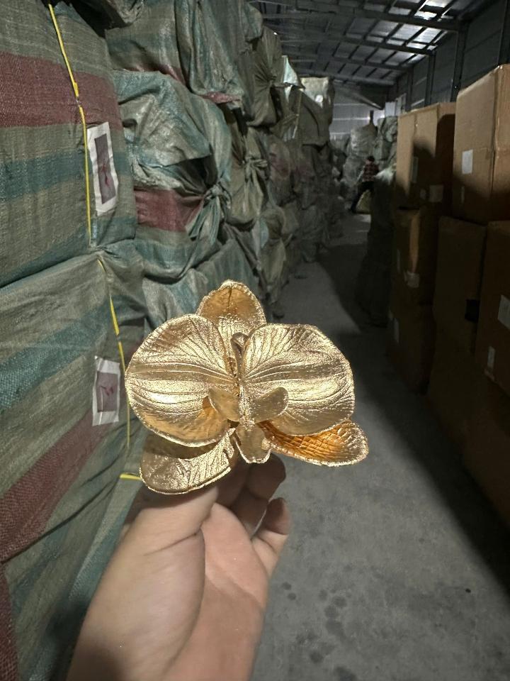 Hoa lan-duoc-ban-tai-Phụ kiện & Quà Tết 369 Mỹ Hạnh