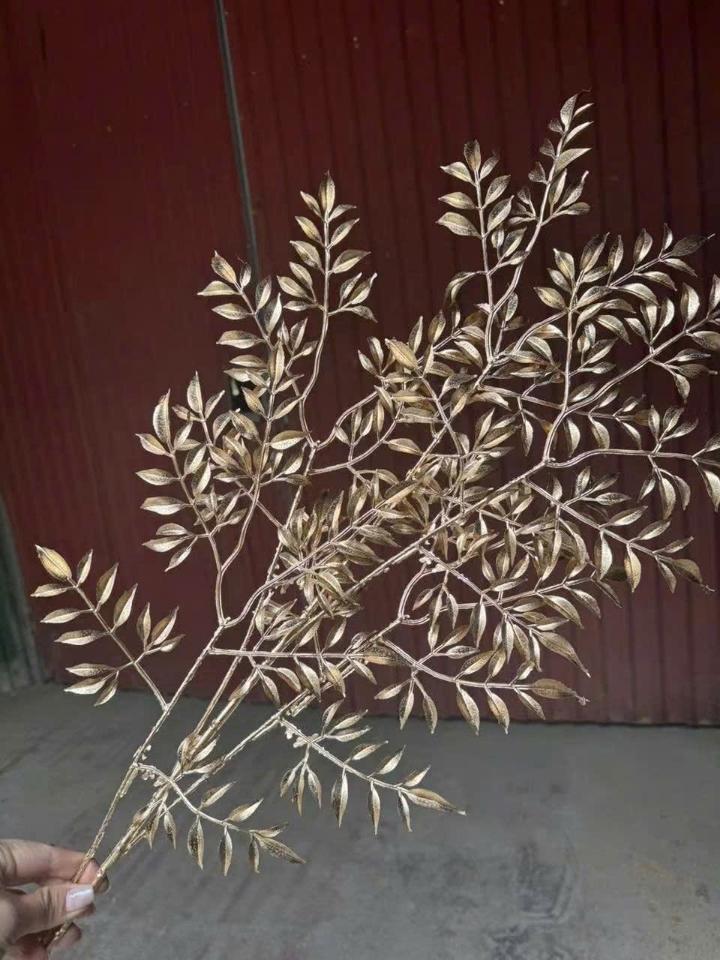 Lá me-duoc-ban-tai-Phụ kiện & Quà Tết 369 Mỹ Hạnh