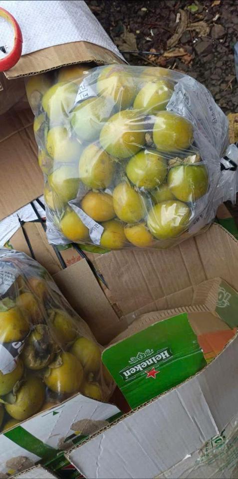 Hồng giòn-duoc-ban-tai-Phương Nguyễn