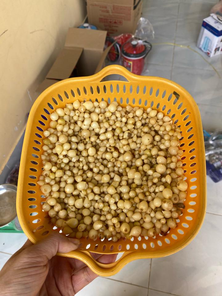 Hành tăm -duoc-ban-tai-Phương Nguyễn