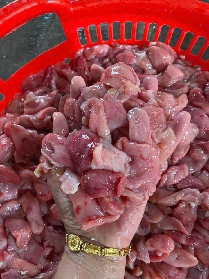 Bao tử cá basa-duoc-ban-tai-Phương Nguyễn