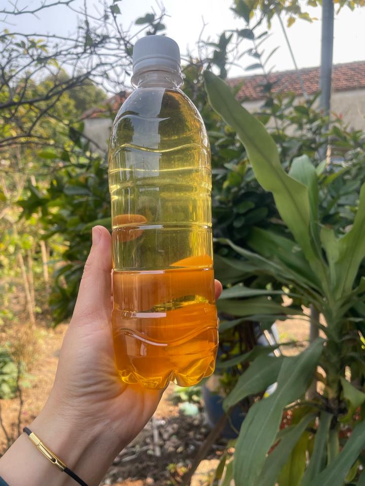 Dầu dừa 500ml-duoc-ban-tai-Nông sản Xanh