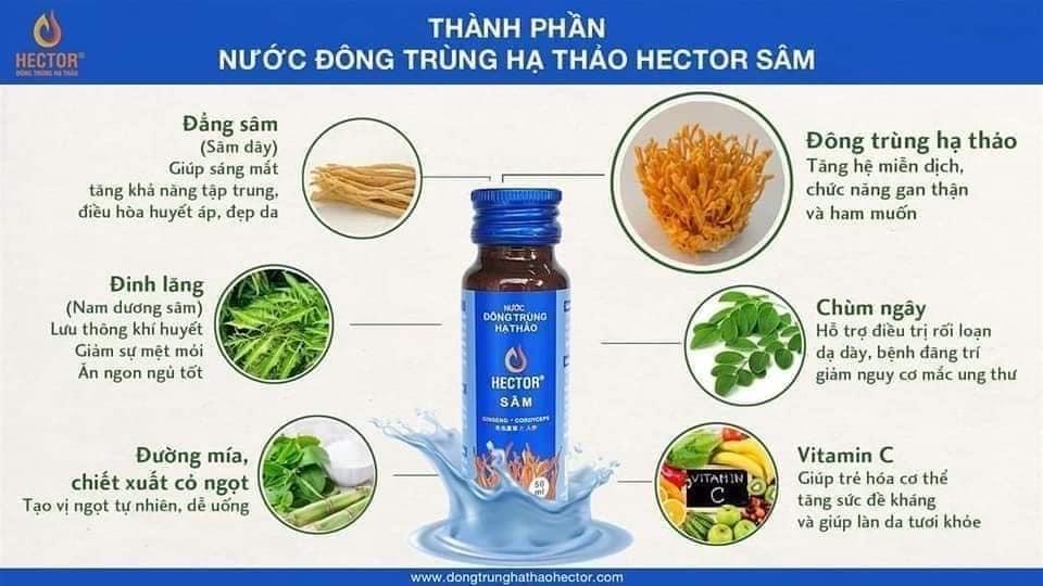 Hector Sâm-duoc-ban-tai-Nông sản Xanh