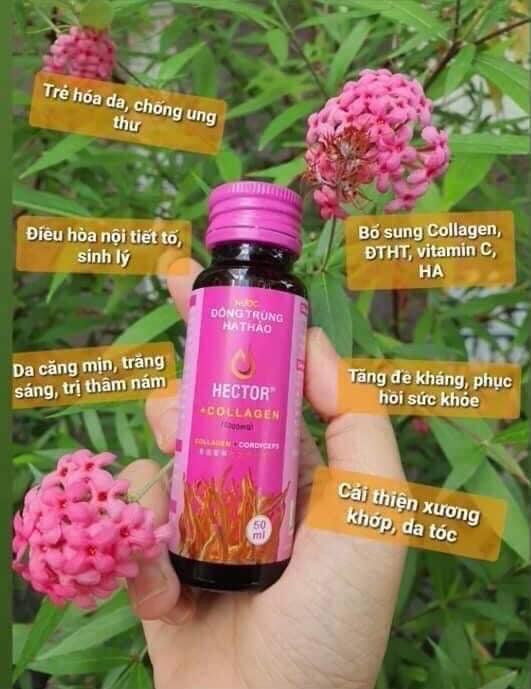 Hector collagen-duoc-ban-tai-Nông sản Xanh