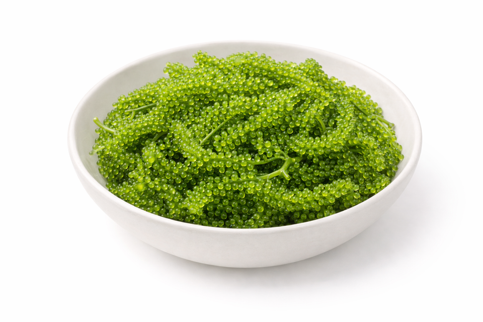 Umibudo sarada[grape seaweed] Rong nho tươi 100g-duoc-ban-tai-Furin sushi