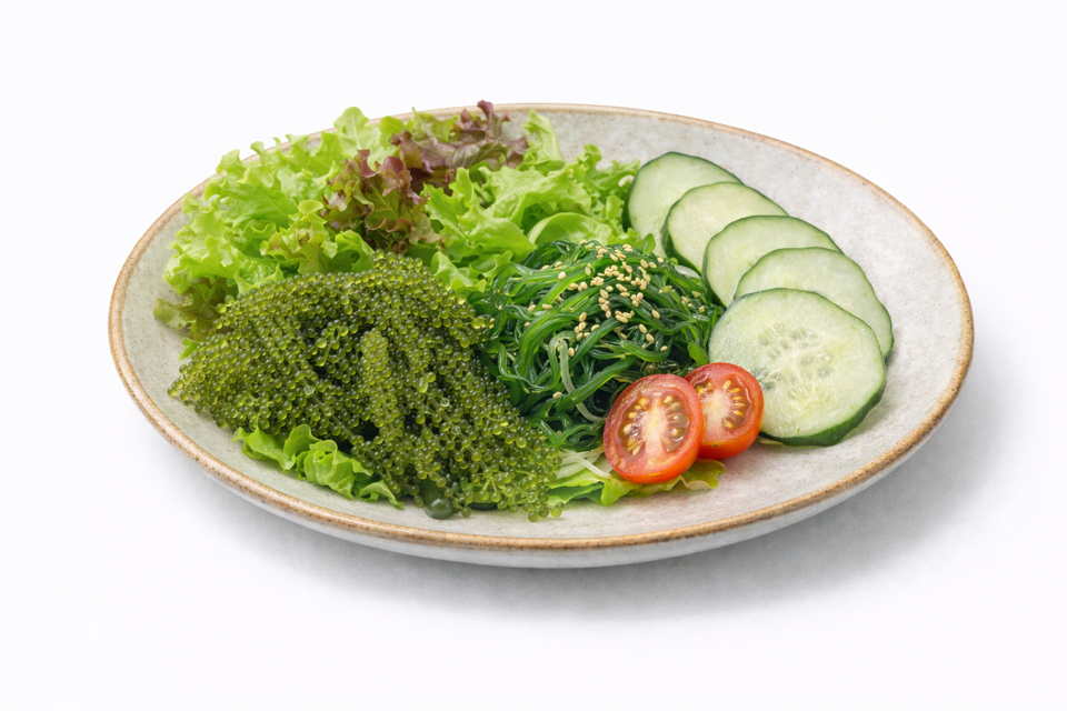 Kaisou sarada[seaweed salad]Salad rong biển-duoc-ban-tai-Furin sushi