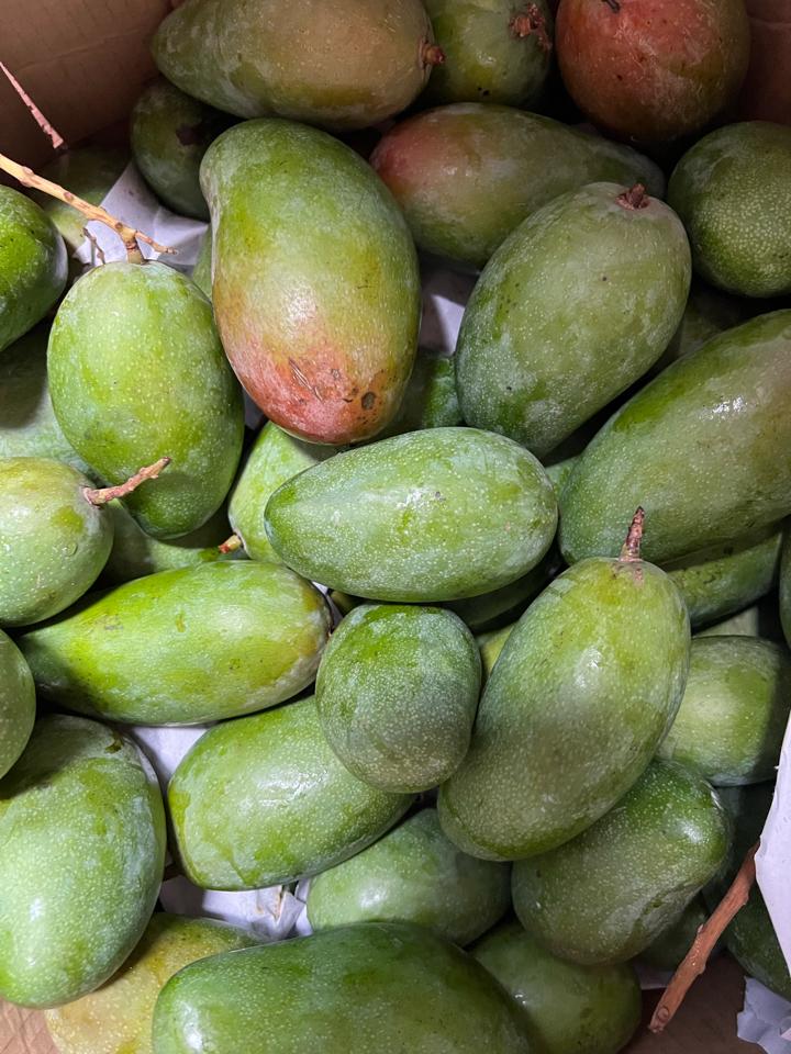 Xoài đeo già-duoc-ban-tai-Xoài Non Xứ Đà