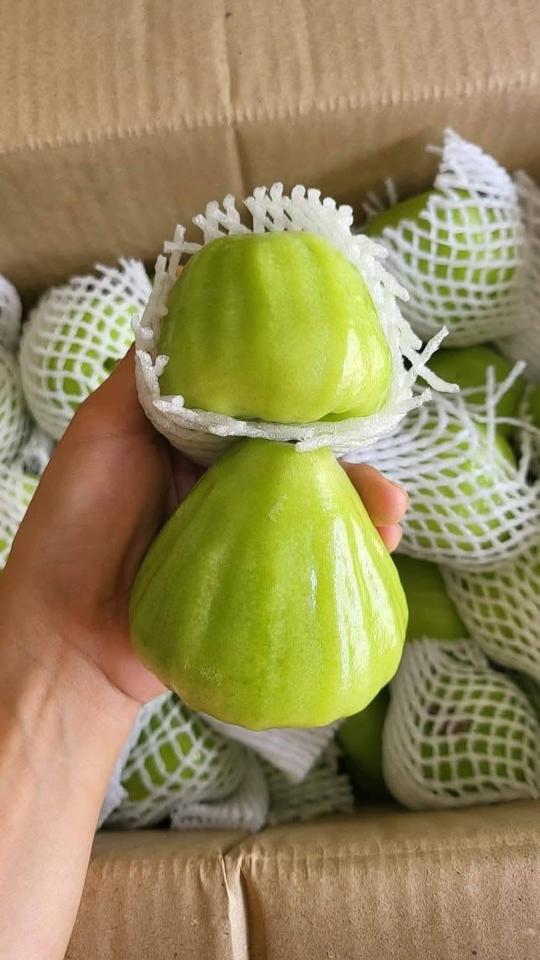 Mận xanh-duoc-ban-tai-Xoài Non Xứ Đà