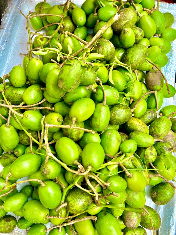 Cóc non-duoc-ban-tai-Xoài Non Xứ Đà