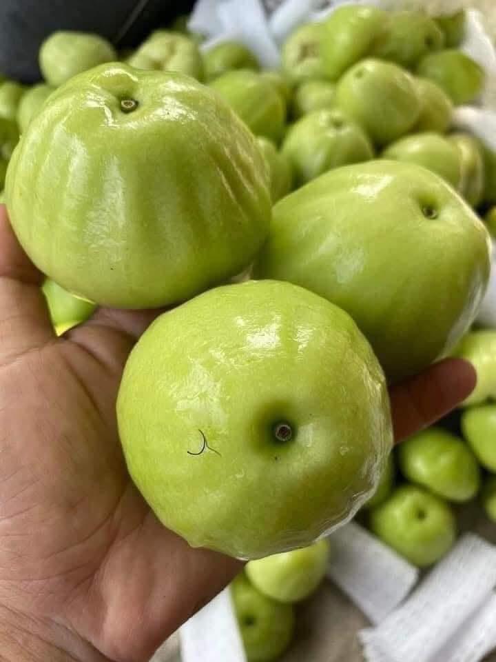 Mận xanh-duoc-ban-tai-Xoài Non Xứ Đà
