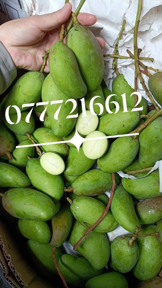 Xoài đeo xô-duoc-ban-tai-Xoài Non Xứ Đà